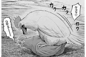 ยอดไก่นักสู้กู้โลก (Rooster Fighter) มหากาพย์ไก่บุญโต้ง และช่องทางดูอนิเมะ