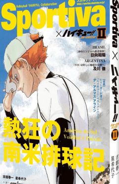 (AB) Haikyū!! Shōsetsuban!! 2 Sportiva Cover Hinata (Beach) ver.