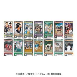 (MD) Haikyu!! Visual Clear Ticket 2