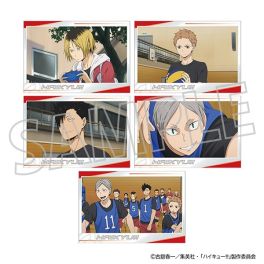 (MD) Haikyu!! Post Card Set / OVA