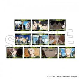 (MD) WIND BREAKER Trading Hologram Sticker BOX 2 (สุ่ม 2 ลาย)