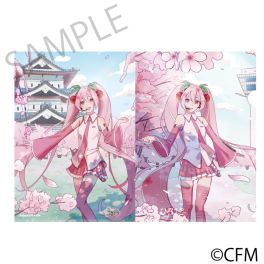 (PRE)(MD) Sakura Miku x Hirohako Clear File Folder Hirohako 2025 - Art by Tamiura