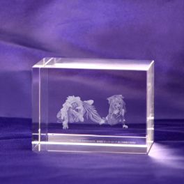 (PRE)(MD) KDcolle 5th Anniversary Overlord Albedo: Bride ver. & Shalltear: Bride ver. 3D Crystal