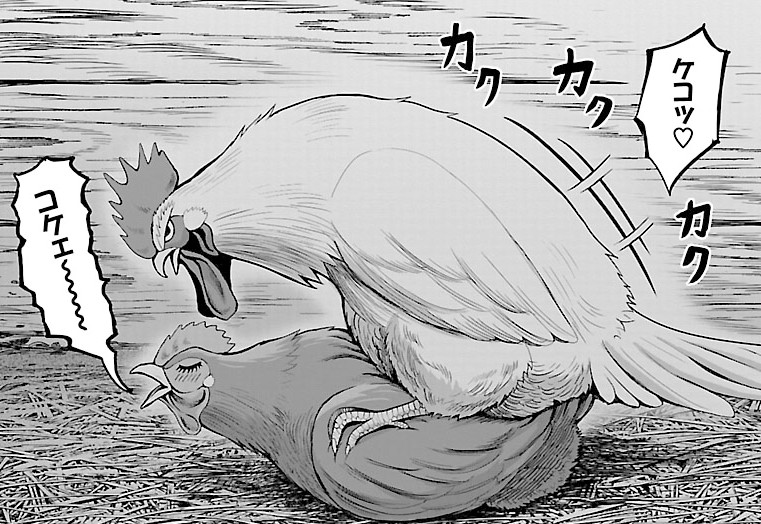 ยอดไก่นักสู้กู้โลก (Rooster Fighter) มหากาพย์ไก่บุญโต้ง และช่องทางดูอนิเมะ