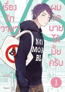 เรื่องรักวายๆผมขอบายได้มั้ยครับ